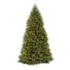 12 Ft. Dunhill Fir Artificial Christmas Tree With 1500 Clear Lights-DUH3-120LO-S 204145859