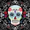 Amscan 5 In. X 5 In. Day Of The Dead Beverage Napkins (36-Count, 3-Pack)-701519 300598931