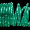 Brite Star 18 Ft. 50-Light Green Rope Light-37-164-00 203541065