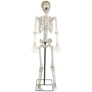 Gemmy 5 Ft. Life Size Animated KD-Bony Tony With Mic-70467 207107606 1 Gemmy 5 Ft. Life Size Animated KD-Bony Tony With Mic-70467 207107606