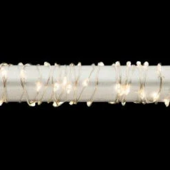 Gerson 60 In. 30-Light LED Warm White String Lights-2085840EC 300364967