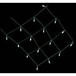 Home Accents Holiday 100-Light LED M5 Warm White 48 In. X 72 In. Net Lights With 8-Functions-TY-100FM5-WW 204078995