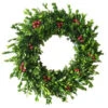 Home Accents Holiday 22 In. Boxwood Dried Wreath With Berries-A0115-221 206944945