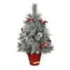 Home Accents Holiday 24 In. Snowy Pine Tree In Red Metal Bucket-2317570HD 206771280