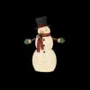 Home Accents Holiday 49.5 In. LED Lighted Cotton Snowman With Tophat-TY160-1614-1 206963108