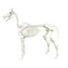 Home Accents Holiday 74 In. Halloween Standing Skeleton Horse-6342-86676 206802721