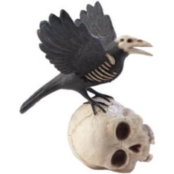 Home Decorators Collection 11.5 In. Haunted Raven On Skull-9715500210 300126840