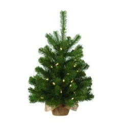 Martha Stewart Living 24 In. Pre-Lit LED Downswept Douglas Fir Artificial Table Tree-9317900610 206497619