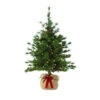 Martha Stewart Living 36 In. Pre-Lit LED Bristle Cone Pine Burlap Artificial Table Tree-9318010610 206497606