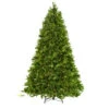 Martha Stewart Living 7.5 Ft. Indoor Pre-Lit LED Downswept Douglas Fir Artificial Christmas Tree-9315300610 206497396