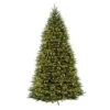 National Tree Company 12 Ft. Pre-Lit Dunhill Fir Hinged Artificial Christmas Tree With Clear Lights-DUH-120LO-S 202214959