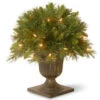 National Tree Company 18 In. Tiffany Fir Porch Artificial Bush With Clear Lights-TF3-18PBLO 300120601