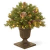 National Tree Company 2 Ft. Frosted Berry Porch Artificial Bush With Clear Lights-FRB3-24PLO 300120610