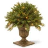 National Tree Company 2 Ft. Tiffany Fir Porch Artificial Bush With Clear Lights-TF3-24PLO 300120612