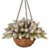 National Tree Company 20 In. Dunhill Fir Hanging Basket With Battery Operated Warm White LED Lights-DUF3-300-20H-B1 300487176