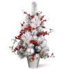National Tree Company 24 In. Christmas Tree-RAC-J509X24 300487169