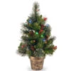 National Tree Company 24 In. Crestwood Spruce Tree With Battery Operated Multicolor LED Lights-CW7-334M-20 300478227