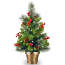 National Tree Company 24 In. Crestwood Spruce Tree With Battery Operated Warm White LED Lights-CW7-334-20 300478235