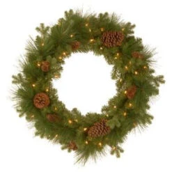 National Tree Company 24 In. Frosted Arctic Spruce Artificial Wreath With Clear Lights-PEFA1-307-24W-1 300182949