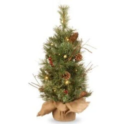 National Tree Company 24 In. Glistening Pine Tree With Battery Operated Warm White LED Lights-GN19-300-24-B1 300478203