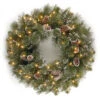National Tree Company 24 In. Glittery Pine Artificial Wreath With Clear Lights-GP1-300-24W-1 300182872
