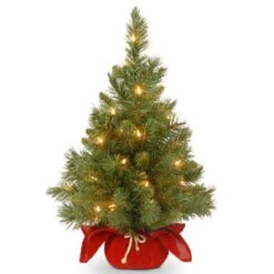 National Tree Company 24 In. Majestic Fir Tree With Clear Lights-MJ3-24BGLO-1 300478204