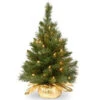 National Tree Company 24 In. Majestic Fir Tree With Clear Lights-MJ3-24GDLO-1 300478200