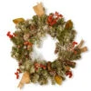 National Tree Company 24 In. Snowy Christmas Artificial Wreath-RAC-W060260A 300154667