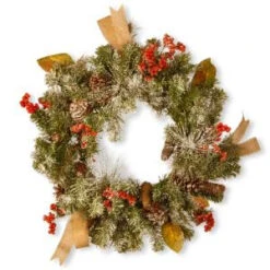 National Tree Company 24 In. Snowy Christmas Artificial Wreath-RAC-W060260A 300154667