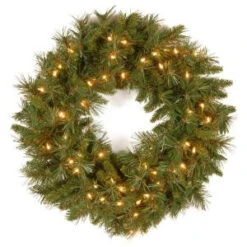 National Tree Company 24 In. Tiffany Fir Artificial Wreath With Clear Lights-TF-24WLO-1 300182947