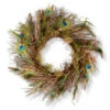 National Tree Company 28 In. Peacock Artificial Wreath-RAC-W060318A 300154655