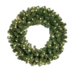 National Tree Company 30 In. Feel-Real Downswept Douglas Fir Artificial Wreath With 100 Clear Lights-PEDD4-312-30W-1 205945919
