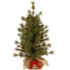 National Tree Company 36 In. Bristle Cone Pine Tree-BCP3-700-30-1 300478238