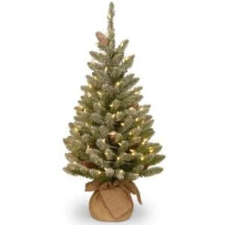 National Tree Company 36 In. Snowy Concolor Fir Tree With Battery Operated LED Lights-SR1-328-30-B1 300478181