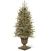 National Tree Company 4 Ft. Frosted Arctic Spruce Entrance Artificial Christmas Tree With Clear Lights-PEFA1-309-40 300120628