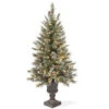 National Tree Company 4 Ft. Glittery Bristle Entrance Artificial Christmas Tree With Clear Lights-GB3-306-40 300120602