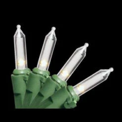 National Tree Company 70-Light Bulb Dual Color LED String Add-On Light Set-LS21-802-70 205330659