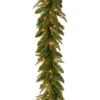 National Tree Company 9 Ft. Feel-Real Fraser Grande Artificial Garland With 100 Clear Lights-PEFG4-330-9A 205331287