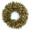 National Tree Company Frosted Berry 24 In. Artificial Wreath With Clear Lights-FRB-24WLO-1 300182828