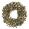 National Tree Company Glittery Bristle Pine 24 In. Artificial Wreath With Clear Lights-GB3-300-24W-1 300182822