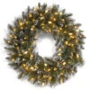 National Tree Company Glittery Bristle Pine 30 In. Artificial Wreath With Clear Lights-GB1-319-30W 300154638