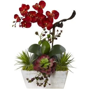 Nearly Natural 21 In. Seasonal Orchid And Succulent Garden With White Wash Planter-1418-AT 206733614 1 Nearly Natural 21 In. Seasonal Orchid And Succulent Garden With White Wash Planter-1418-AT 206733614