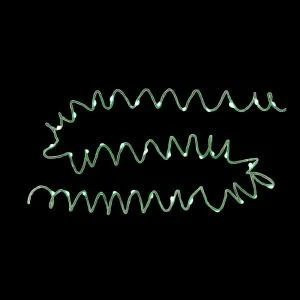 Starlite Creations 12 Ft. Pre-Lit LED Battery Operated Green Single Braided Garland (Bundle Of 2)-BR04-1G012-A1B 202938527 1 Starlite Creations 12 Ft. Pre-Lit LED Battery Operated Green Single Braided Garland (Bundle Of 2)-BR04-1G012-A1B 202938527