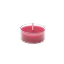 Zest Candle 1.5 In. Red Tealight Candles (50-Pack)-CTZ-013 203363121